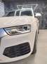 Audi Q3 2.0 TDI 120 CV quattro S tronic S line Edition Weiß - thumbnail 4