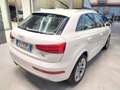Audi Q3 2.0 TDI 120 CV quattro S tronic S line Edition Weiß - thumbnail 7