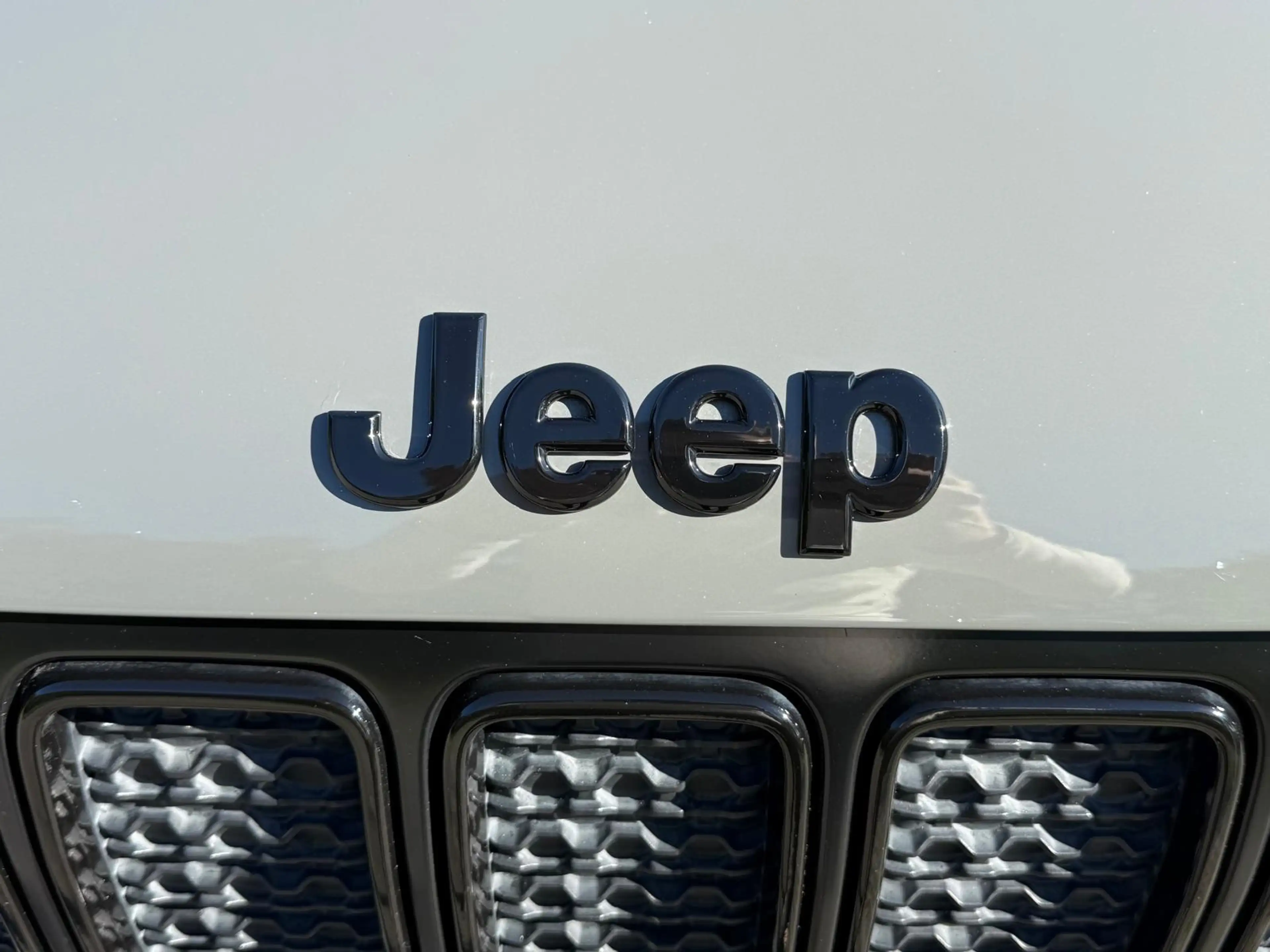 Jeep Renegade 1.0T Limited sport, electrisch glazen panoramadak, — photo 10