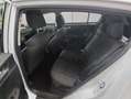 Kia Sportage 1.6 GDI 2WD Edition 7 GDI 2WD Edition 7 Bianco - thumbnail 16