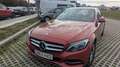 Mercedes-Benz C 220 220CDI BE Avantgarde Edition 7G Plus 4M - thumbnail 6