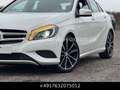 Mercedes-Benz A 180 CDI BE 2Style Pano Bi-Xenon Sitzhzg Blanc - thumbnail 24