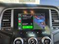 Renault Megane Sporter dCi 115cv Auto Navi Fari LED Autocarro N1 Білий - thumbnail 25