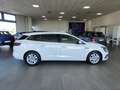 Renault Megane Sporter dCi 115cv Auto Navi Fari LED Autocarro N1 Білий - thumbnail 33