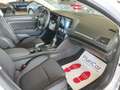 Renault Megane Sporter dCi 115cv Auto Navi Fari LED Autocarro N1 Білий - thumbnail 31