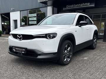 EV ADVANTAGE Industrial Vintage 3-phasig