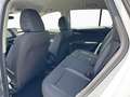 Skoda Elroq 50 Tour Studio/SMART/TRANSPORT Blanc - thumbnail 13