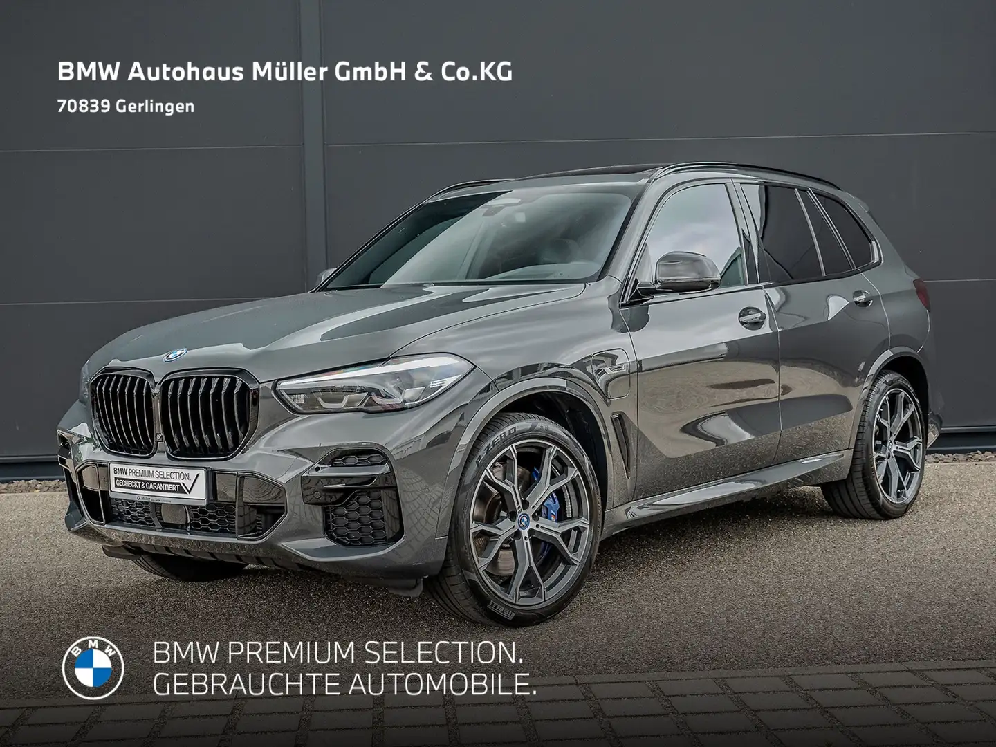 BMW X5 xDrive45eA M Sportpaket GSD 360° HUD ACC AHK Grijs - 1