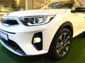 Kia Stonic Edition 7 Automatik AHK Navi AppleCar LED Blanc - thumbnail 10