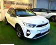 Kia Stonic Edition 7 Automatik AHK Navi AppleCar LED Blanc - thumbnail 2