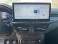 Ford Focus ST-Line X 1.0l MHEV+Allwetter+Navi+Headup Grau - thumbnail 13