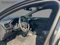 Ford Focus ST-Line X 1.0l MHEV+Allwetter+Navi+Headup Grau - thumbnail 9