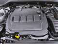 Skoda Octavia Combi 2.0 TDI STYLE AHK NAVI LED SITZHZG Weiß - thumbnail 17