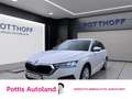 Skoda Octavia Combi 2.0 TDI STYLE AHK NAVI LED SITZHZG Weiß - thumbnail 1