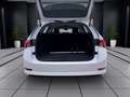 Skoda Octavia Combi 2.0 TDI STYLE AHK NAVI LED SITZHZG Weiß - thumbnail 4
