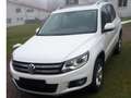 Volkswagen Tiguan Tiguan 2,0 TDI BMT 4Motion Sky DPF DSG Sky Weiß - thumbnail 4