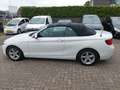 BMW 218 2-serie Cabrio 218i High Executive Wit - thumbnail 21