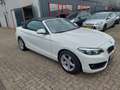 BMW 218 2-serie Cabrio 218i High Executive Wit - thumbnail 17