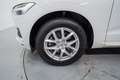 Volvo XC60 D4 Momentum Aut. Blanco - thumbnail 10