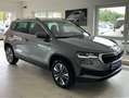 Skoda Karoq 1.5 TSI Tour DSG Virtual Matrix ACC Grau - thumbnail 5