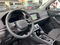 Skoda Karoq 1.5 TSI Tour DSG Virtual Matrix ACC Grau - thumbnail 9