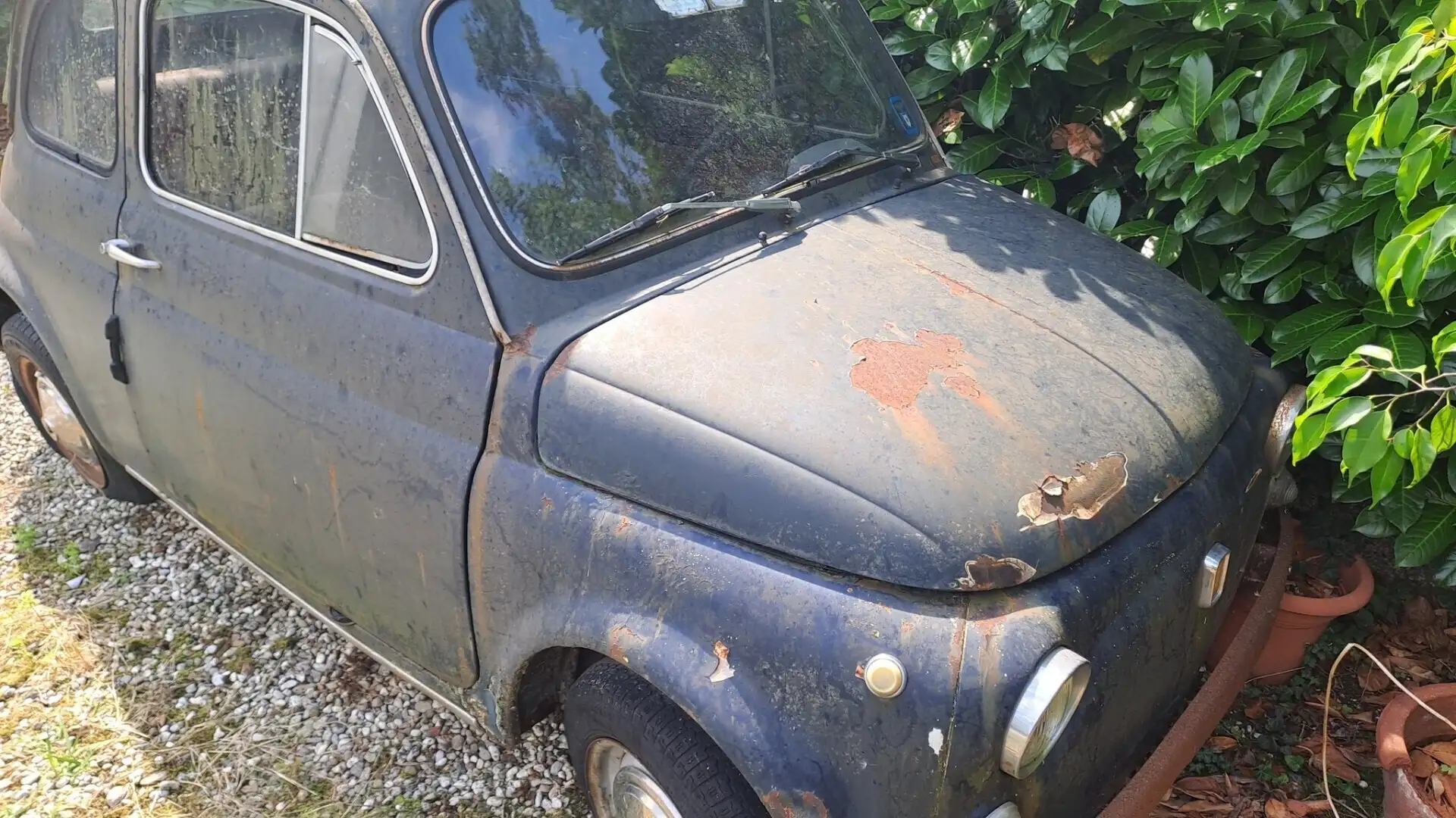 Fiat Cinquecento 500 L Синій - 1