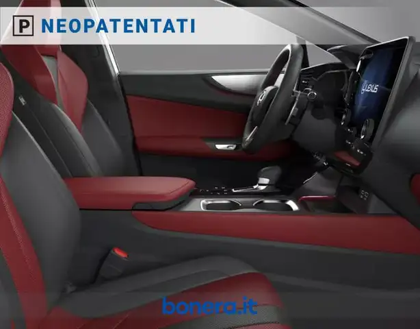 Lexus NX view 6