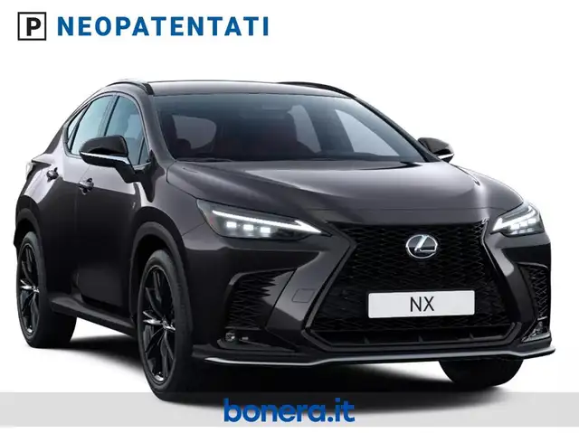Lexus NX view 2