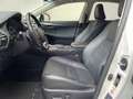 Lexus NX 300 300h Executive Navigation 4WD Білий - thumbnail 10