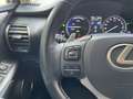 Lexus NX 300 300h Executive Navigation 4WD Blanco - thumbnail 22