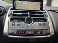 Lexus NX 300 300h Executive Navigation 4WD Weiß - thumbnail 18