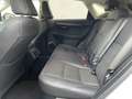 Lexus NX 300 300h Executive Navigation 4WD Blanco - thumbnail 11
