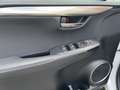 Lexus NX 300 300h Executive Navigation 4WD Weiß - thumbnail 27