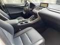 Lexus NX 300 300h Executive Navigation 4WD Bílá - thumbnail 13