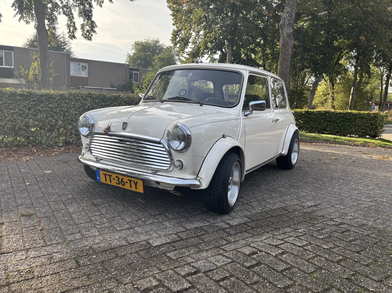 MINI 1000
