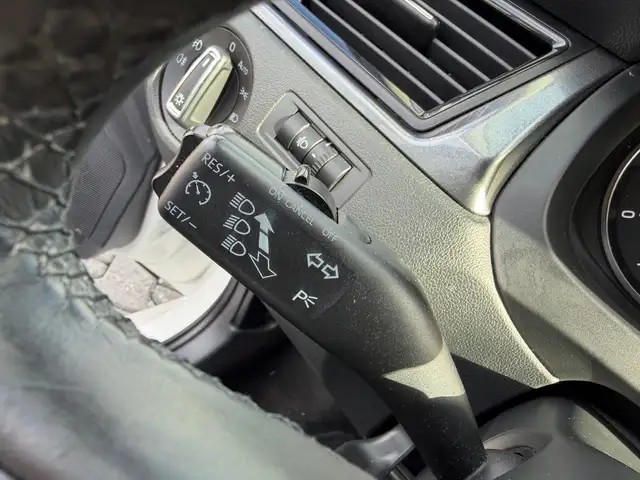 Skoda Rapid view 11