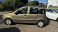 Fiat Panda 1.2 8V Dynamic(TÜV 07,2027) KLIMA Beige - thumbnail 7