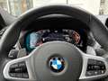BMW X4 x20d M Sport SurView HUD Laser HiFi KomfZ.AHK Blau - thumbnail 9