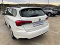 Fiat Tipo Tipo SW 1.6 mjt Easy Business Bianco - thumbnail 4