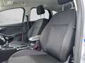 Ford Focus 1,5 TDCi Trend ''AHK & WR'' Weiß - thumbnail 21