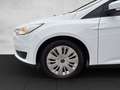 Ford Focus 1,5 TDCi Trend ''AHK & WR'' Weiß - thumbnail 9