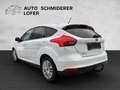 Ford Focus 1,5 TDCi Trend ''AHK & WR'' Weiß - thumbnail 3