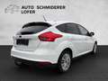 Ford Focus 1,5 TDCi Trend ''AHK & WR'' Weiß - thumbnail 5