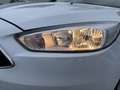 Ford Focus 1,5 TDCi Trend ''AHK & WR'' Weiß - thumbnail 10