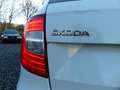 Skoda Superb Combi Exclusive 4x4*AHZV*SHZG*DAB*Xenon* Weiß - thumbnail 23