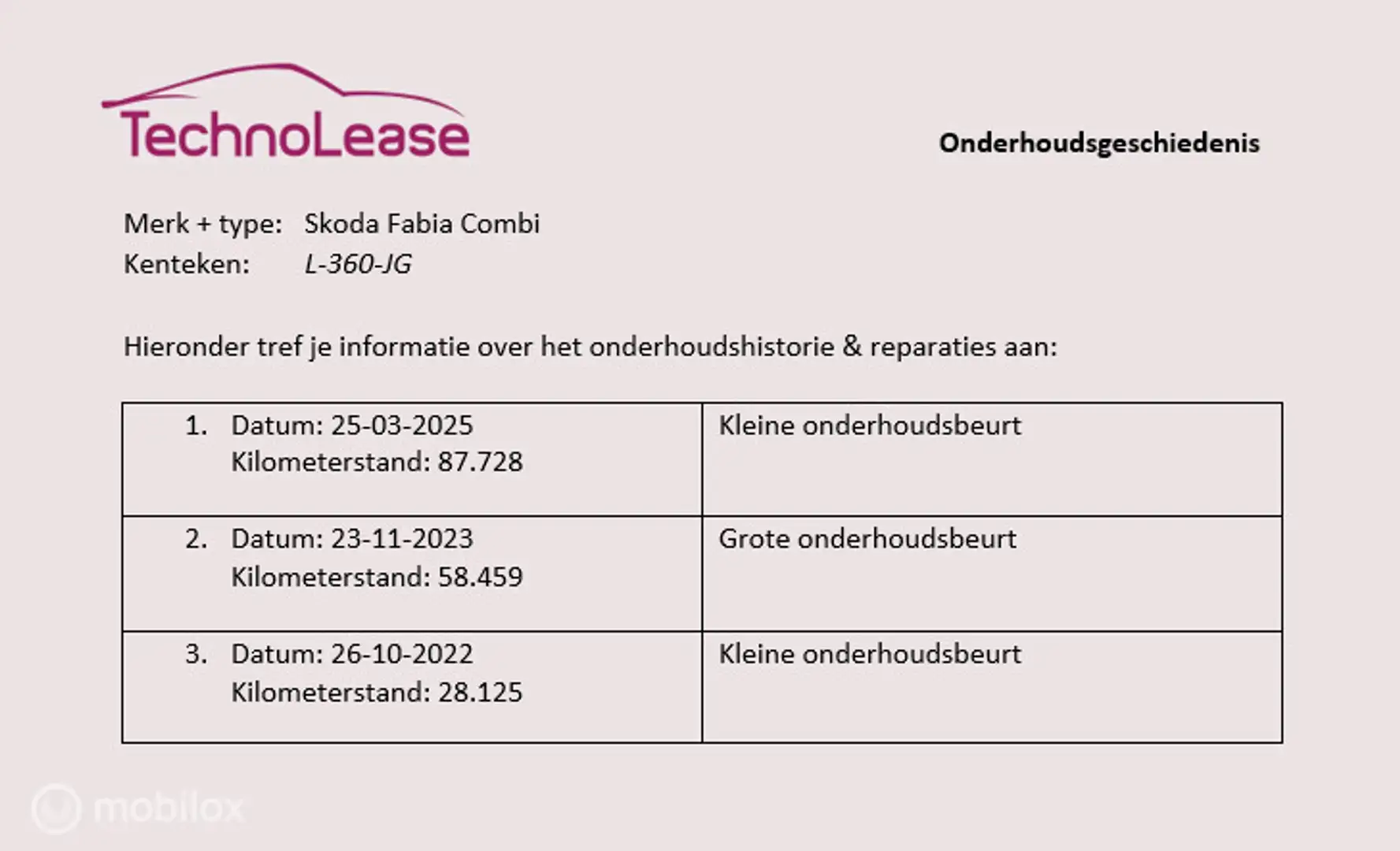 Skoda Fabia Combi 1.0 TSI Business Edition Trekhaak Airco Crui Gris - 2