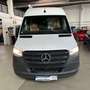 Mercedes-Benz Sprinter Sprinter 317*170PS* Karavan Wohnmobil V Blanc - thumbnail 2