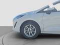 Ford Fiesta 1.5TDCi Trend 85 Blanco - thumbnail 20