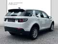 Land Rover Discovery Sport Pure°ALLRAD°SHZ°EURO 6°TÜV NEU° Blanco - thumbnail 4