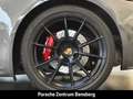 Porsche Cayman 718 Cayman GTS 4.0 Grau - thumbnail 11